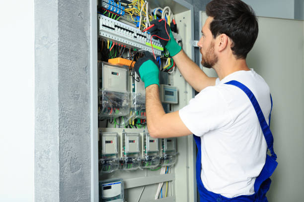 Best Ceiling Fan Installation Electrician  in Pelzer, SC